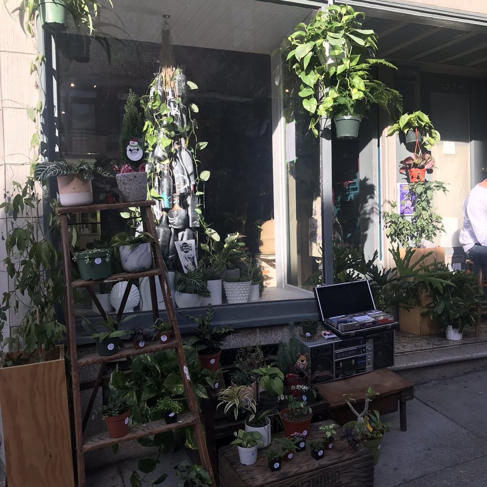 TigerBunny Studio - Huge selection of plants and sizes for purchase. - Art Galleries Near Me - San Francisco, California TigerBunny Studio - Huge selection of plants and sizes for purchase. - Art Galleries Near Me - San Francisco, California