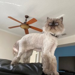 Grooming Tales Salon
