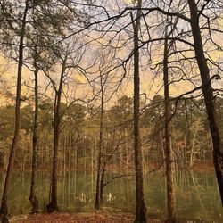 The sky after a good and cozy rain