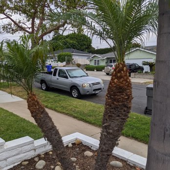 Pena Tree Service - Tree Services Near Me Pena Tree Service - Tree Services Near Me