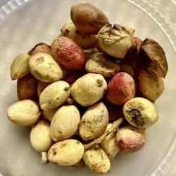 Caspian Supermarket - We've never-before seen fresh raw pistachios still in their not-sweet lightly-citrusy fruit around the familiar hard shell!