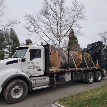 Bizee Bee Tree Service - Tree Services Near Me - Mahopac, New York