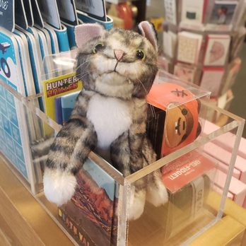 Barnes & Noble - Hello there... cute kitty! - Newspapers & Magazines Near Me - Victorville, California