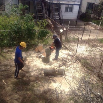 Family Tree Service - Tree Services Near Me - Staten Island, New York