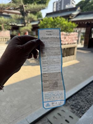 Kushida Shrine by null