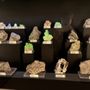Royal Alberta Museum