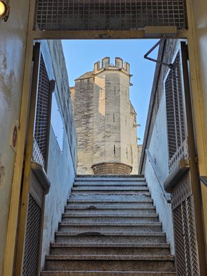 Palais des Papes by null