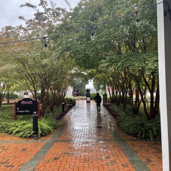 Washington College - Colleges & Universities Near Me - Chestertown, Maryland Washington College - Colleges & Universities Near Me - Chestertown, Maryland
