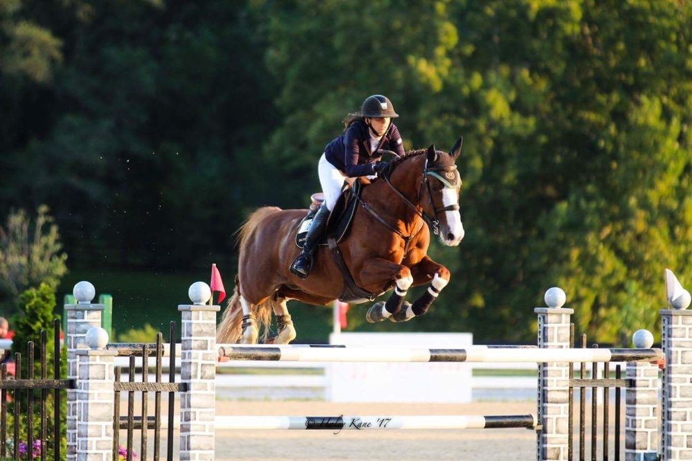 SUMMER HILL FARMS Updated August 2024 44 Photos 1757 Bridle Bit