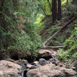 Leona Heights Park - It is well shaded and pretty though dangerous and hard to complete