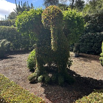 Lotusland - Botanical Gardens Near Me - Santa Barbara, California