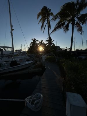 Hogfish Bar & Grill by null