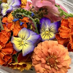 Luncheonette - Edible flowers on the Boss B salad.