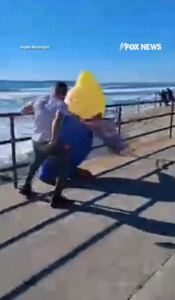 Curll Landscape & Construction - tree service in Worcester, MA