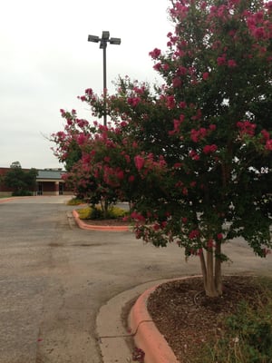 Oscar Rose Park by null