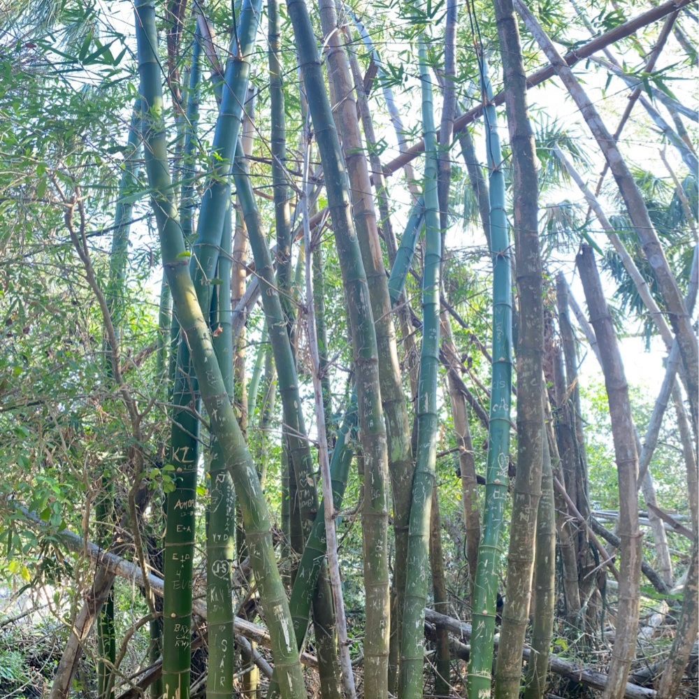 Koreshan State Park - Parks Near Me - Estero, Florida Koreshan State Park - Parks Near Me - Estero, Florida