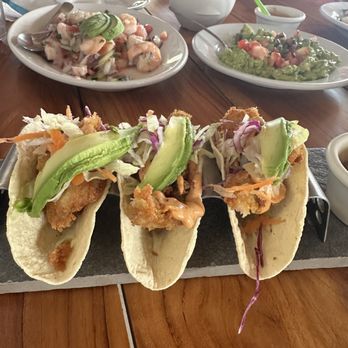 Pelícanos - Shrimp taco's - Seafood Near Me - Puerto Morelos, ROO Pelícanos - Shrimp taco's - Seafood Near Me - Puerto Morelos, ROO
