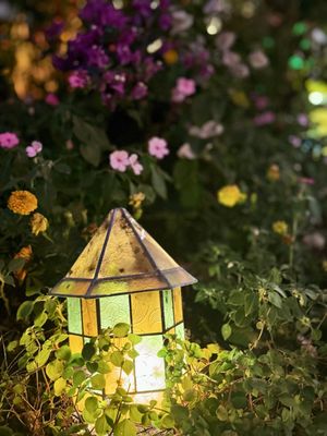 Sonya's Garden by null
