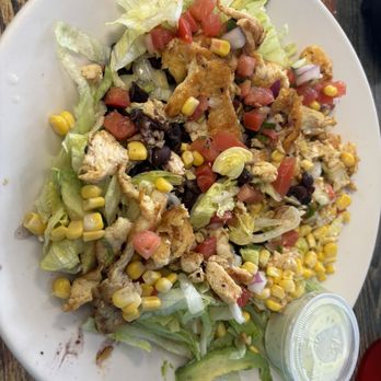 Taco Libre - Baja Salad with chicken - Tacos Near Me - Jacksonville, Florida Taco Libre - Baja Salad with chicken - Tacos Near Me - Jacksonville, Florida