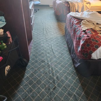 Dominion Inn and Suites - Carpet - Hotels Near Me - Sandston, Virginia Dominion Inn and Suites - Carpet - Hotels Near Me - Sandston, Virginia
