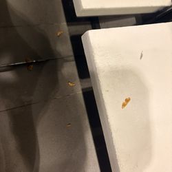 Zara - Chicken in the dressing room
