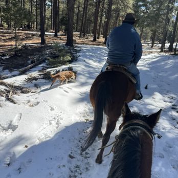 Roadrunner Tours - Mike and Dink - Tours Near Me - Angel Fire, New Mexico