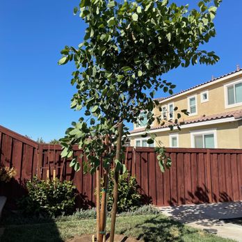 Moon Valley Nurseries - Freshly planted - Nurseries & Gardening Near Me - Murrieta, California