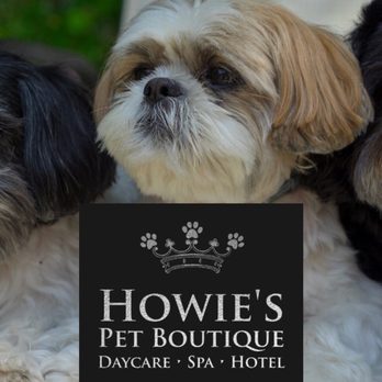 howie's doggie daycare