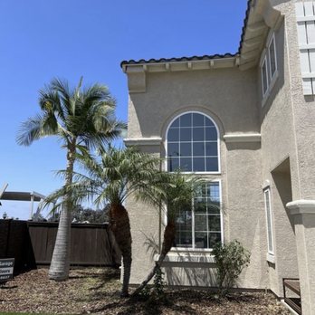 Williams Tree Service - After - Tree Services Near Me