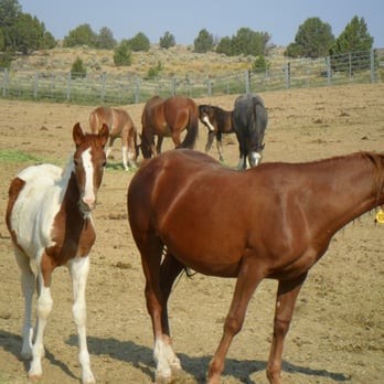 BLM Wildhorse Corrals - Public Services & Government Near Me - Hines, Oregon
