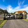 Photo of Lone Legacy Automatic Gates