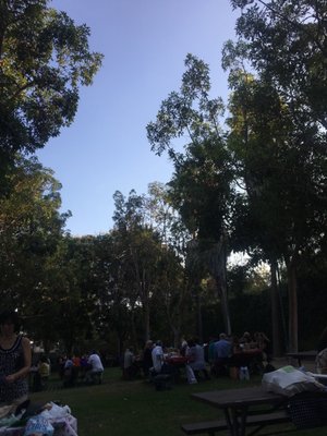 Highland Camrose Park by null