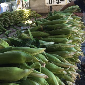 Carpinito Brothers - Nurseries & Gardening Near Me - Kent, Washington