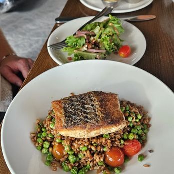 Linear Restaurant - Sea Bass - New American Near Me - Grand Rapids, Michigan
