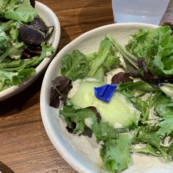 Amakara - Piece of thick blue chipped plastic in my partner's salad - Sushi Bars Near Me - Dublin, California Amakara - Piece of thick blue chipped plastic in my partner's salad - Sushi Bars Near Me - Dublin, California