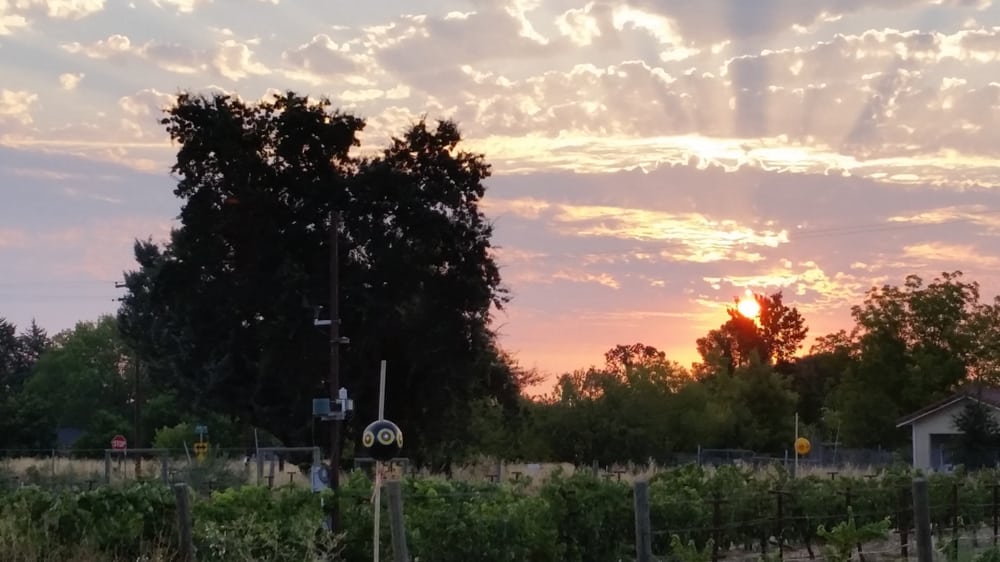 LOCKEWOOD ACRES Updated August 2024 10 Photos 7781 Locke Rd