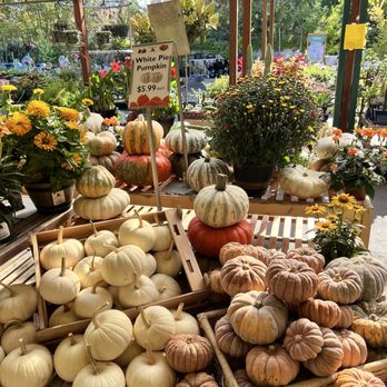 Sloat Garden Center - Nurseries & Gardening Near Me - Pleasant Hill, California Sloat Garden Center - Nurseries & Gardening Near Me - Pleasant Hill, California