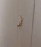 Slide of Williams & Son Heating