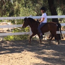 Mega Arte Riding Academy - Student Elise Barebackriding on Billie Butterscotch's son