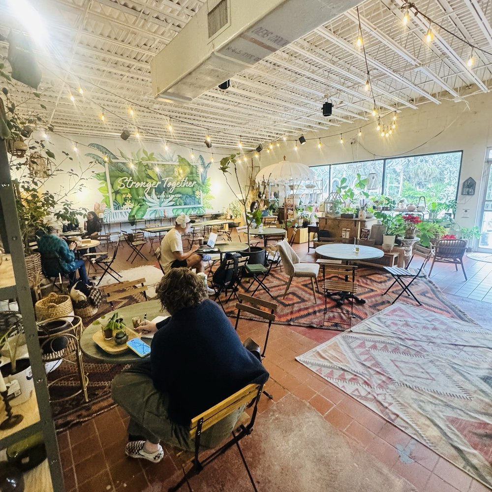 Black Phin - Coffee & Tea Near Me - Winter Park, Florida Black Phin - Coffee & Tea Near Me - Winter Park, Florida
