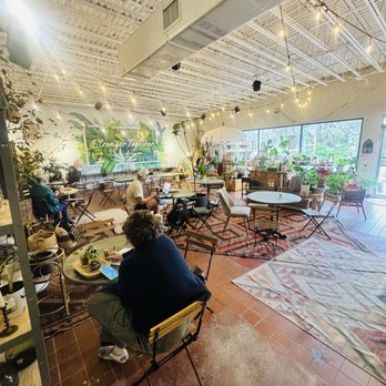 Black Phin - Coffee & Tea Near Me - Winter Park, Florida Black Phin - Coffee & Tea Near Me - Winter Park, Florida