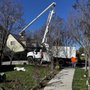 Photo of General Tree Service