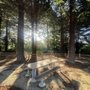 Photo of John L Carter Memorial Park