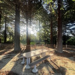 John L Carter Memorial Park - Picnic area