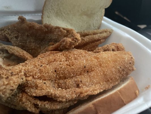 Washington Shores Fish Market by null