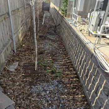 TrueMow - Before and after the leaf clean up. - Tree Services Near Me TrueMow - Before and after the leaf clean up. - Tree Services Near Me