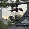 Pteranodon Flyers gift card
