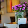 Mark Evans Salon gift card