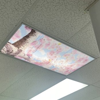 Aesthetic Dental - This is what I see when I'm getting treatments. Just staring on the ceiling looking at the Cherry Blossom's and music. - General Dentistry Near Me - Milpitas, California Aesthetic Dental - This is what I see when I'm getting treatments. Just staring on the ceiling looking at the Cherry Blossom's and music. - General Dentistry Near Me - Milpitas, California