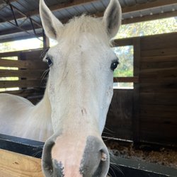 Cheyne Ranch